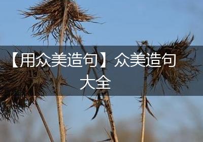 【用众美造句】众美造句大全