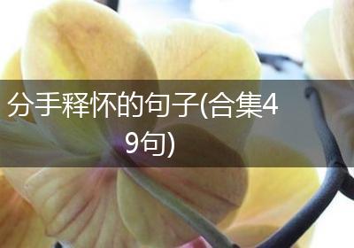 分手释怀的句子(合集49句)