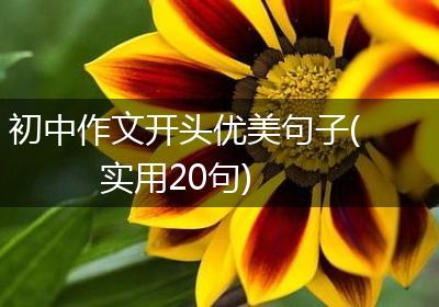 初中作文开头优美句子(实用20句)