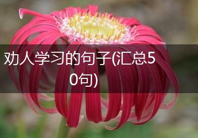 劝人学习的句子(汇总50句)
