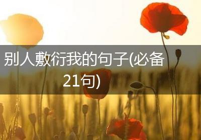 别人敷衍我的句子(必备21句)