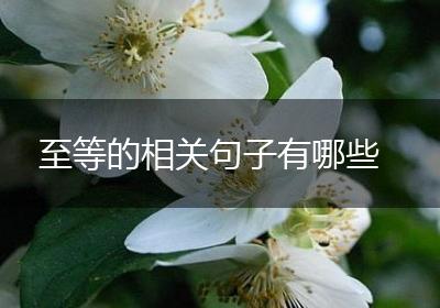 至等的相关句子有哪些