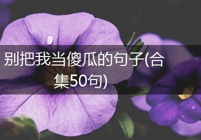别把我当傻瓜的句子(合集50句)