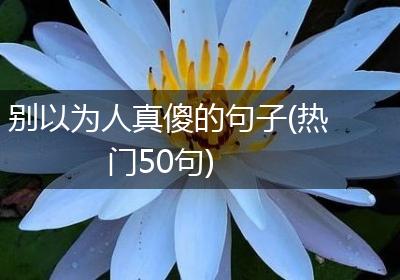 别以为人真傻的句子(热门50句)
