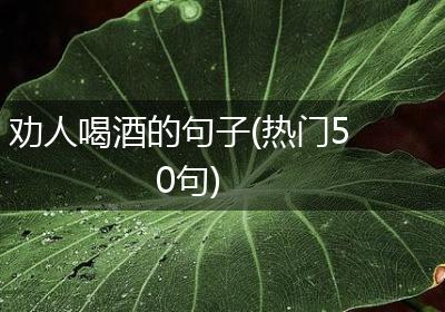 劝人喝酒的句子(热门50句)