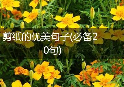 剪纸的优美句子(必备20句)