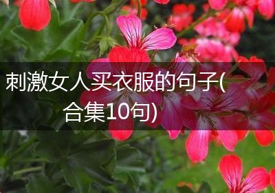 刺激女人买衣服的句子(合集10句)