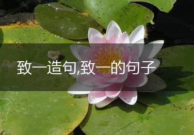 致一造句,致一的句子