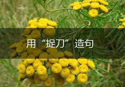 用“捉刀”造句