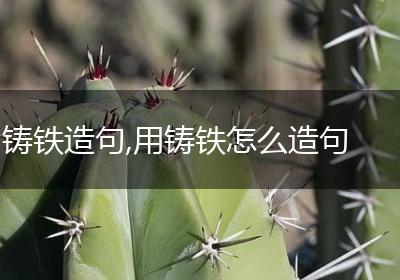铸铁造句,用铸铁怎么造句