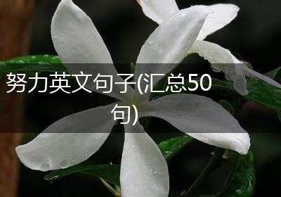 努力英文句子(汇总50句)