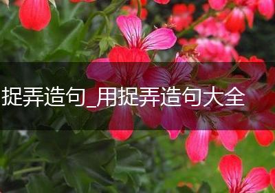 捉弄造句_用捉弄造句大全