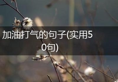 加油打气的句子(实用50句)