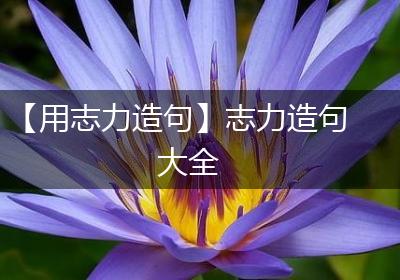 【用志力造句】志力造句大全