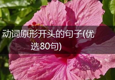 动词原形开头的句子(优选80句)
