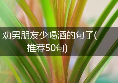 劝男朋友少喝酒的句子(推荐50句)