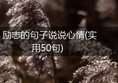 励志的句子说说心情(实用50句)