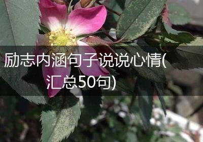 励志内涵句子说说心情(汇总50句)