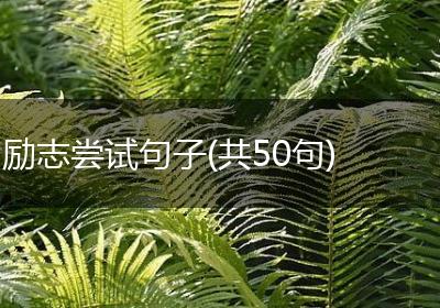 励志尝试句子(共50句)