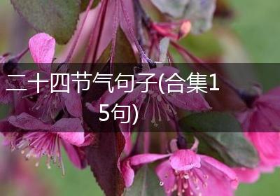 二十四节气句子(合集15句)