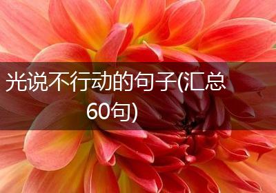 光说不行动的句子(汇总60句)