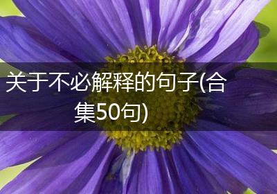 关于不必解释的句子(合集50句)