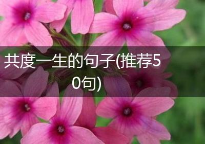 共度一生的句子(推荐50句)