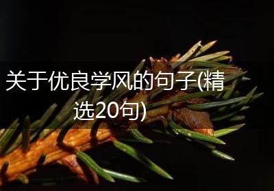 关于优良学风的句子(精选20句)