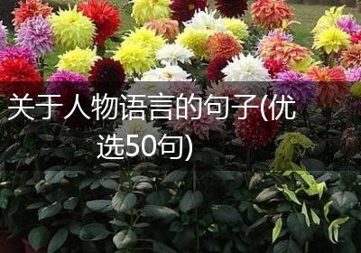 关于人物语言的句子(优选50句)