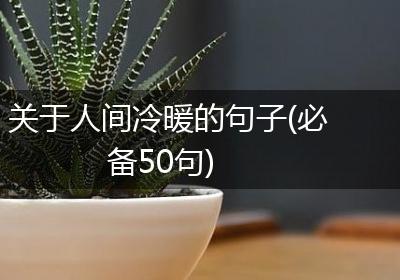 关于人间冷暖的句子(必备50句)