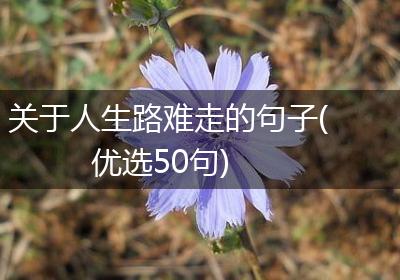 关于人生路难走的句子(优选50句)