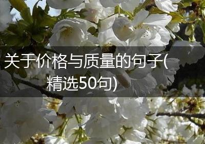 关于价格与质量的句子(精选50句)