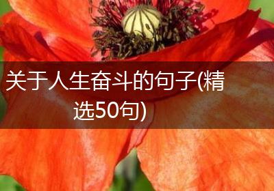 关于人生奋斗的句子(精选50句)