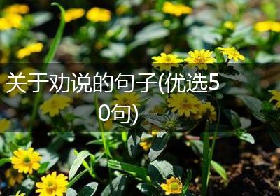 关于劝说的句子(优选50句)