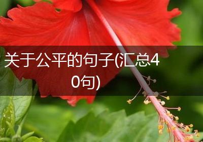 关于公平的句子(汇总40句)