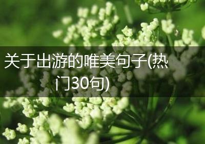关于出游的唯美句子(热门30句)