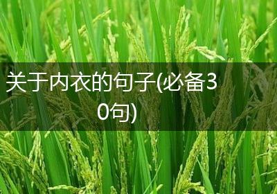 关于内衣的句子(必备30句)