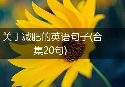 关于减肥的英语句子(合集20句)