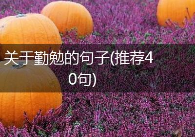 关于勤勉的句子(推荐40句)