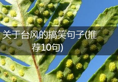 关于台风的搞笑句子(推荐10句)