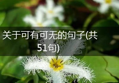 关于可有可无的句子(共51句)
