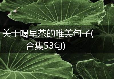 关于喝早茶的唯美句子(合集53句)