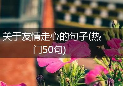关于友情走心的句子(热门50句)