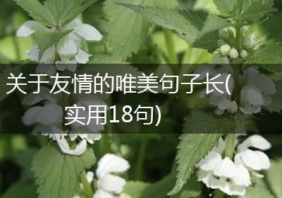 关于友情的唯美句子长(实用18句)