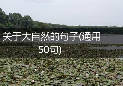 关于大自然的句子(通用50句)
