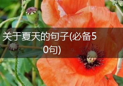关于夏天的句子(必备50句)