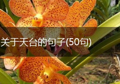 关于天台的句子(50句)