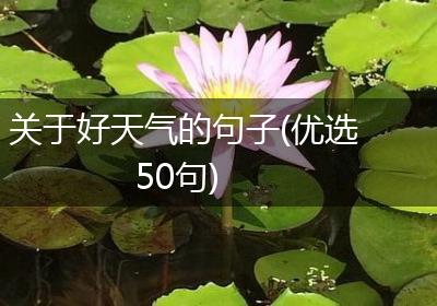 关于好天气的句子(优选50句)