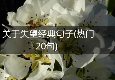 关于失望经典句子(热门20句)