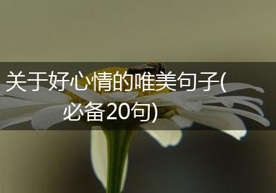 关于好心情的唯美句子(必备20句)